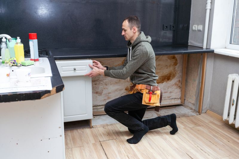 Spring Cabinet Service